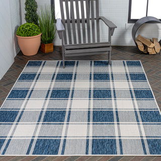 Acrylic Traditional Farmhouse Bold Gingham Indoor/Outdoor Area Rug