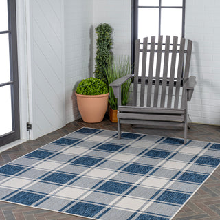 Acrylic Traditional Farmhouse Bold Gingham Indoor/Outdoor Area Rug