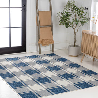 Acrylic Traditional Farmhouse Bold Gingham Indoor/Outdoor Area Rug