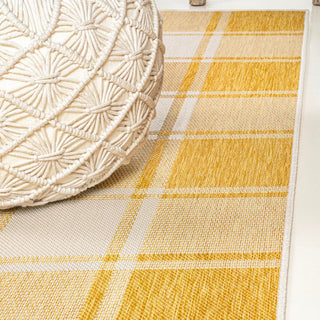 Acrylic Traditional Farmhouse Bold Gingham Indoor/Outdoor Area Rug