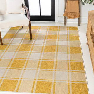 Acrylic Traditional Farmhouse Bold Gingham Indoor/Outdoor Area Rug