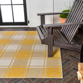 Acrylic Traditional Farmhouse Bold Gingham Indoor/Outdoor Area Rug