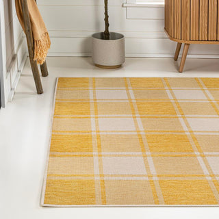 Acrylic Traditional Farmhouse Bold Gingham Indoor/Outdoor Area Rug