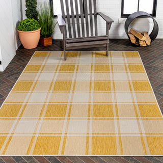 Acrylic Traditional Farmhouse Bold Gingham Indoor/Outdoor Area Rug