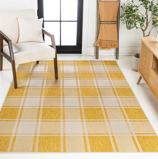 Acrylic Traditional Farmhouse Bold Gingham Indoor/Outdoor Area Rug