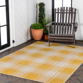 Acrylic Traditional Farmhouse Bold Gingham Indoor/Outdoor Area Rug