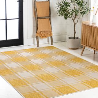 Acrylic Traditional Farmhouse Bold Gingham Indoor/Outdoor Area Rug