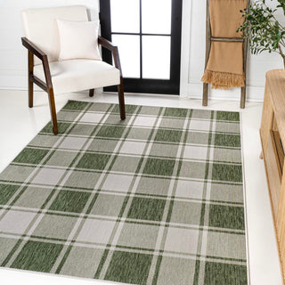 Acrylic Traditional Farmhouse Bold Gingham Indoor/Outdoor Area Rug