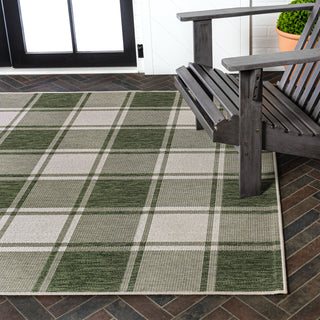 Acrylic Traditional Farmhouse Bold Gingham Indoor/Outdoor Area Rug