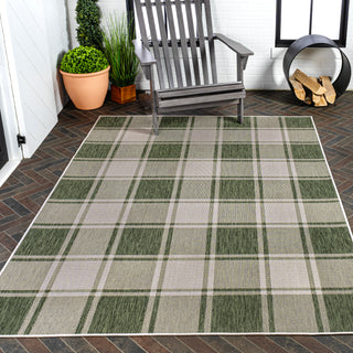 Acrylic Traditional Farmhouse Bold Gingham Indoor/Outdoor Area Rug