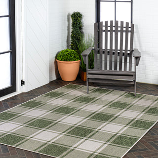 Acrylic Traditional Farmhouse Bold Gingham Indoor/Outdoor Area Rug