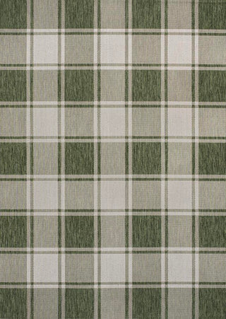 Acrylic Traditional Farmhouse Bold Gingham Indoor/Outdoor Area Rug