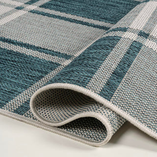 Acrylic Traditional Farmhouse Bold Gingham Indoor/Outdoor Area Rug