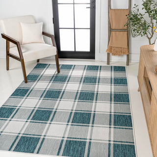 Acrylic Traditional Farmhouse Bold Gingham Indoor/Outdoor Area Rug