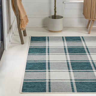 Acrylic Traditional Farmhouse Bold Gingham Indoor/Outdoor Area Rug