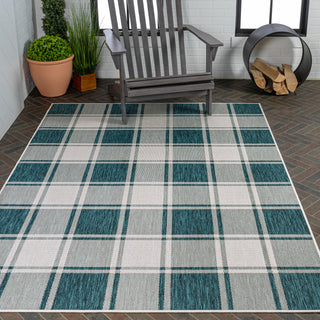 Acrylic Traditional Farmhouse Bold Gingham Indoor/Outdoor Area Rug