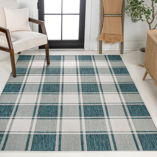 Acrylic Traditional Farmhouse Bold Gingham Indoor/Outdoor Area Rug