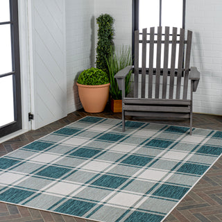 Acrylic Traditional Farmhouse Bold Gingham Indoor/Outdoor Area Rug