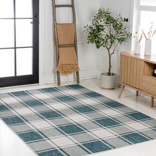 Acrylic Traditional Farmhouse Bold Gingham Indoor/Outdoor Area Rug