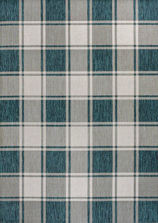 Acrylic Traditional Farmhouse Bold Gingham Indoor/Outdoor Area Rug