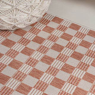 Laurel Traditional Cottage Checkerboard Indoor/Outdoor Area Rug