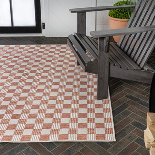 Laurel Traditional Cottage Checkerboard Indoor/Outdoor Area Rug