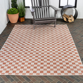 Laurel Traditional Cottage Checkerboard Indoor/Outdoor Area Rug