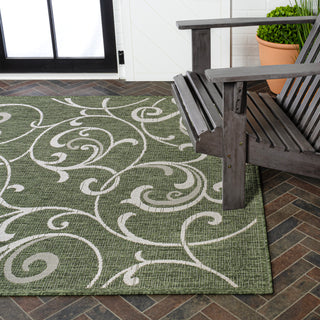 Domani Traditional Classic All-Over Scroll Indoor/Outdoor Area Rug