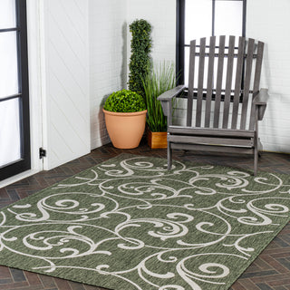 Domani Traditional Classic All-Over Scroll Indoor/Outdoor Area Rug