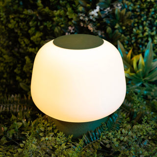 Peill & Putzler Modern Classic Plant-Based PLA 3D Printed Dimmable LED Table Lamp