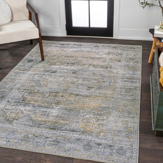 Tomlin ornate Medallion Washable Area Rug