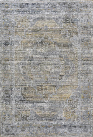 Tomlin ornate Medallion Washable Area Rug