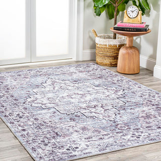 Nobleman boho Gray Medallion Washable Indoor/outdoor Area Rug