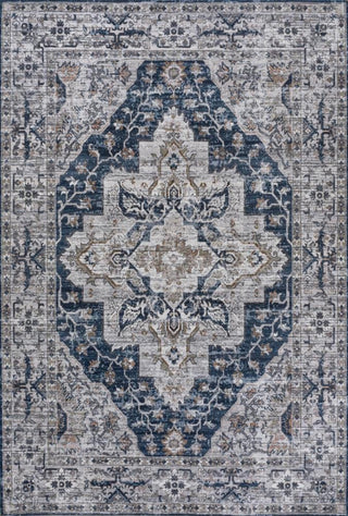 Nobleman boho Gray Medallion Washable Indoor/outdoor Area Rug