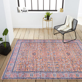 Light all-over Persian Washable Area Rug