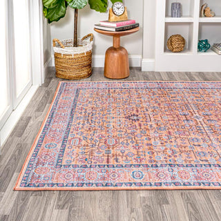 light-all-over-persian-washable-area-rug