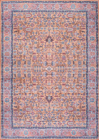 light-all-over-persian-washable-area-rug