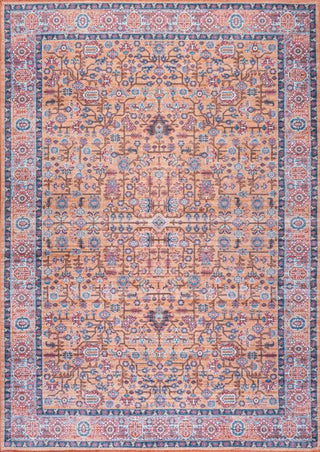 Light all-over Persian Washable Area Rug