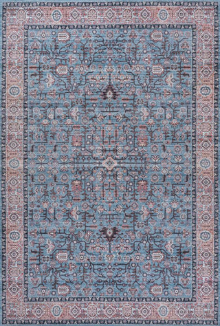 Light all-over Persian Washable Area Rug