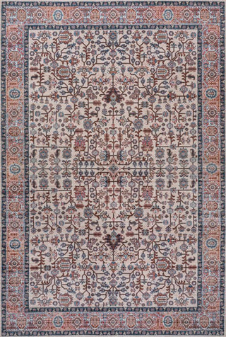 Light all-over Persian Washable Area Rug