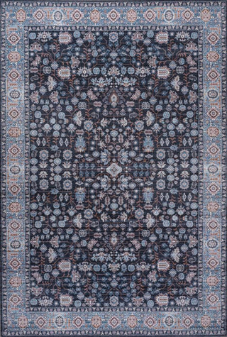 Light all-over Persian Washable Area Rug