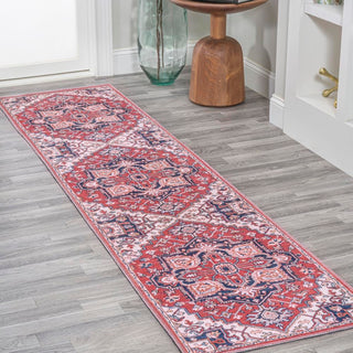 Garza ornate Large Medallion Washable Area Rug