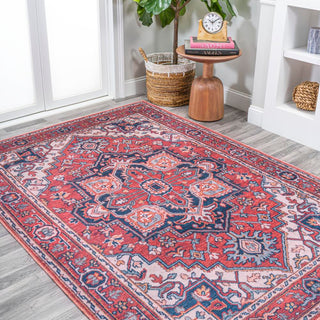 Garza ornate Large Medallion Washable Area Rug