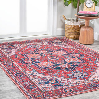 Garza ornate Large Medallion Washable Area Rug