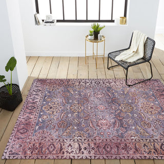 Story ornate Persian All-over Washable Area Rug