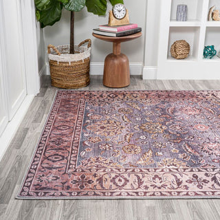 Story ornate Persian All-over Washable Area Rug