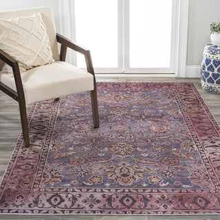 Story ornate Persian All-over Washable Area Rug