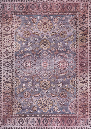 Story ornate Persian All-over Washable Area Rug