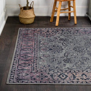 Story ornate Persian All-over Washable Area Rug