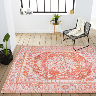 Marsh ornate Medallion Washable Area Rug